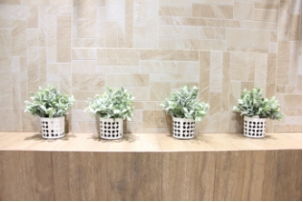 20161114 ICCɴu׃fǧپW(wng)ÿܳҎ(gu)£533_D.jpg